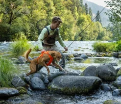 RUFFWEAR® Hundehalsbänder & Geschirre > Hundegechirr Web ater™