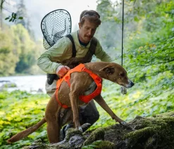 RUFFWEAR® Hundehalsbänder & Geschirre > Hundegechirr Web ater™