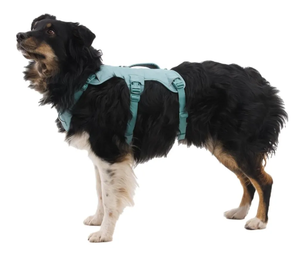 RUFFWEAR® Hundegechirr Web ater™ Grün Discount
