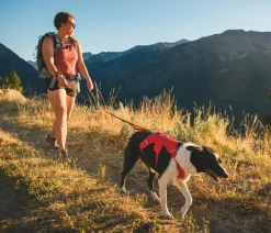 RUFFWEAR® Hundegechirr Web ater™ Rot Sale