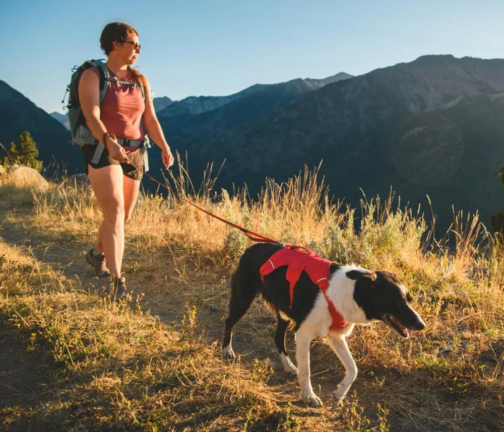 RUFFWEAR® Hundegechirr Web ater™ Rot Sale