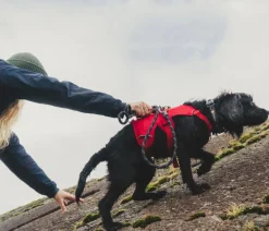 RUFFWEAR® Hundehalsbänder & Geschirre - Hundegechirr Web ater™ Rot
