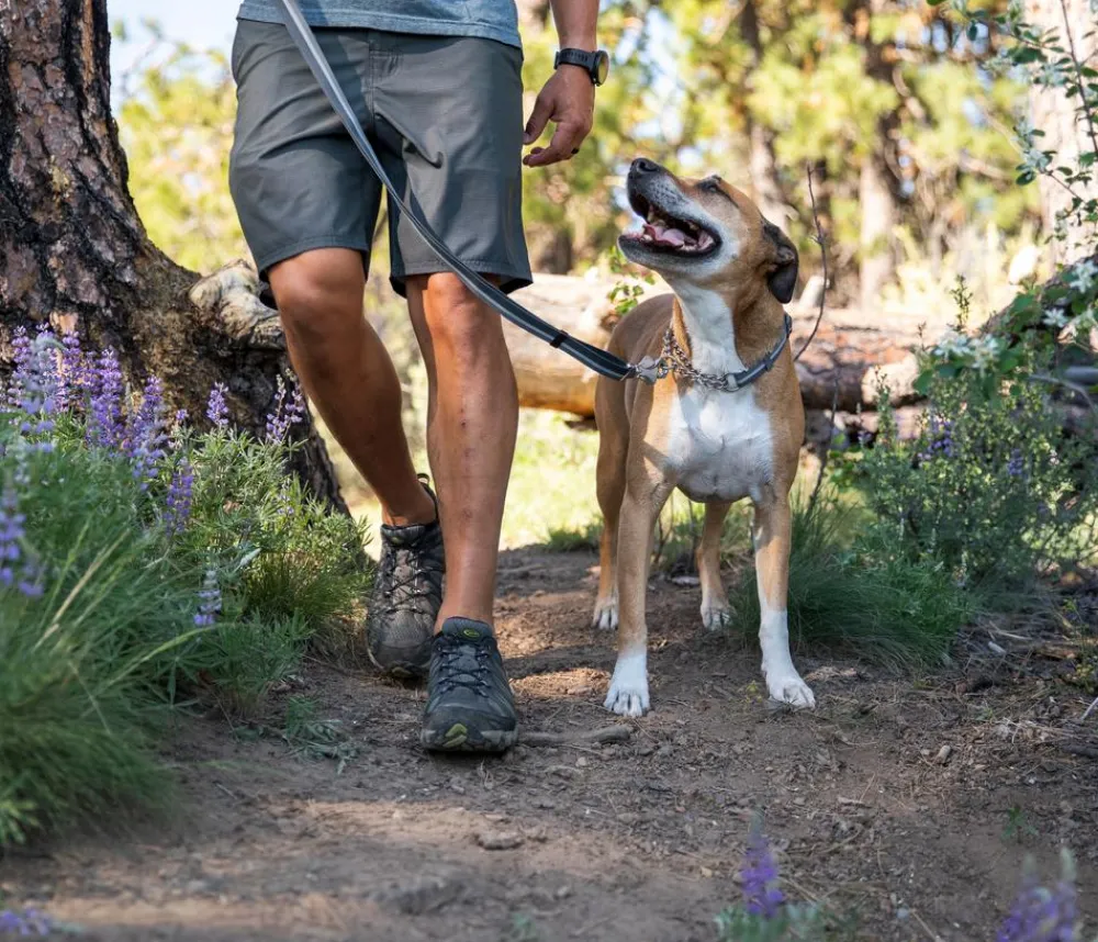 RUFFWEAR® Hundehalsbänder & Geschirre > Hundehaband Chain Reaction™