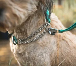 RUFFWEAR® Hundehaband Chain Reaction™ Hellgrün Best