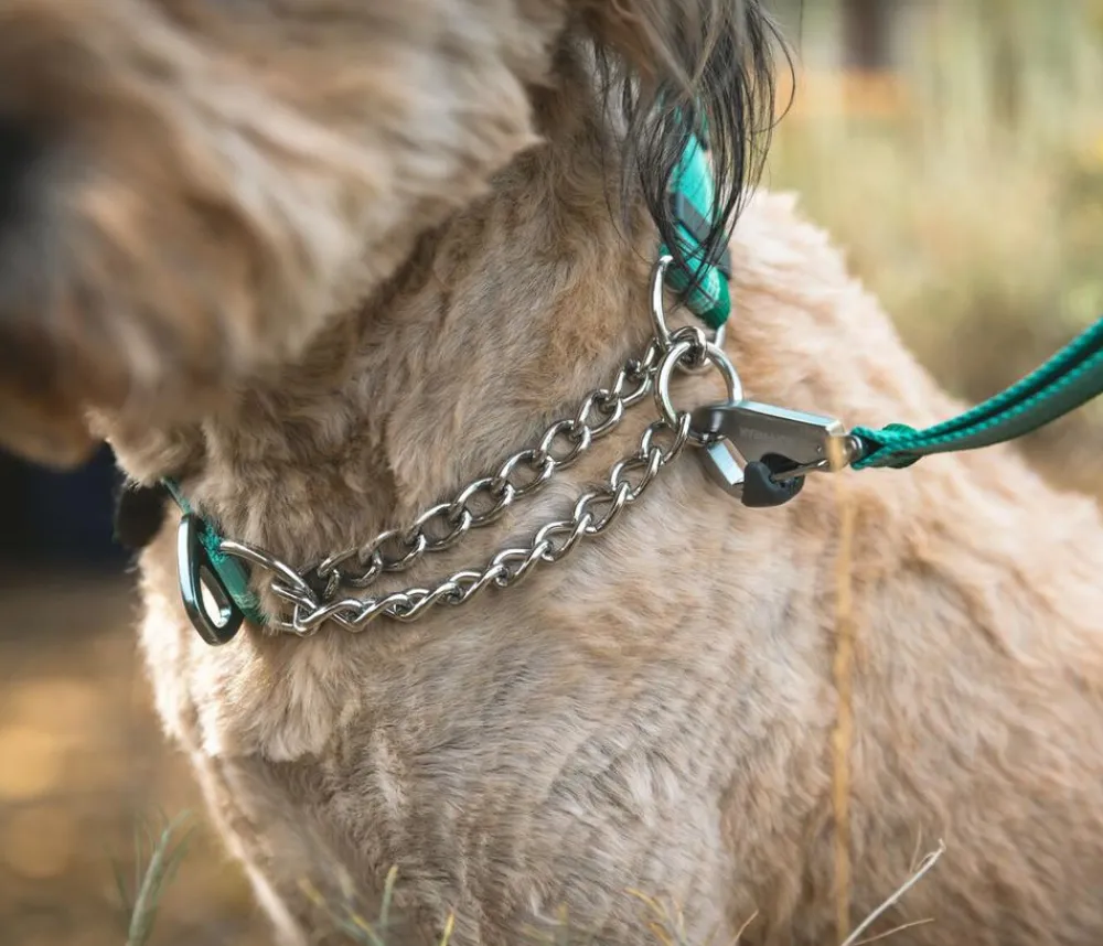 RUFFWEAR® Hundehaband Chain Reaction™ Hellgrün Best