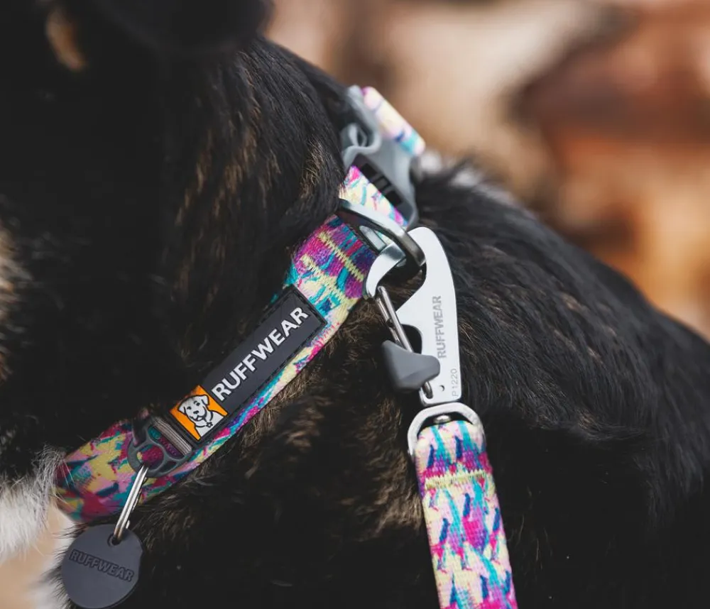 RUFFWEAR® Hundehalsbänder & Geschirre > Hundehaband Front Range™, geutert