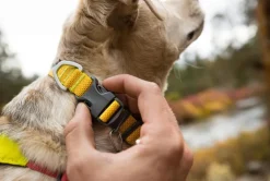 RUFFWEAR® Hundehalsbänder & Geschirre > Hundehaband Hi & ight™ Coar