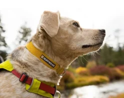 RUFFWEAR® Hundehalsbänder & Geschirre > Hundehaband Hi & ight™ Coar