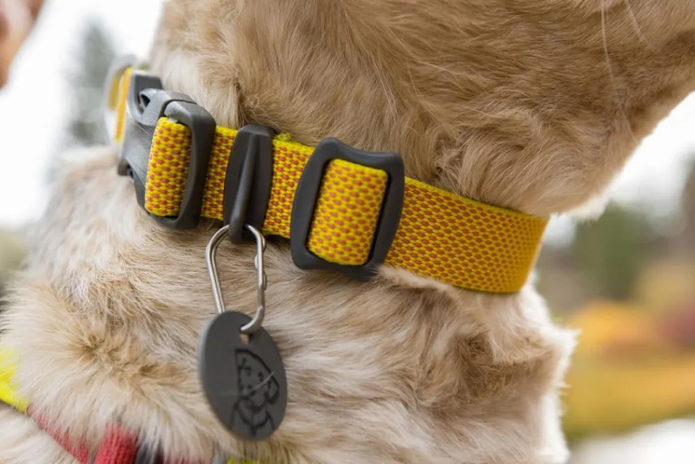 RUFFWEAR® Hundehalsbänder & Geschirre - Hundehaband Hi & ight™ Coar Lemon