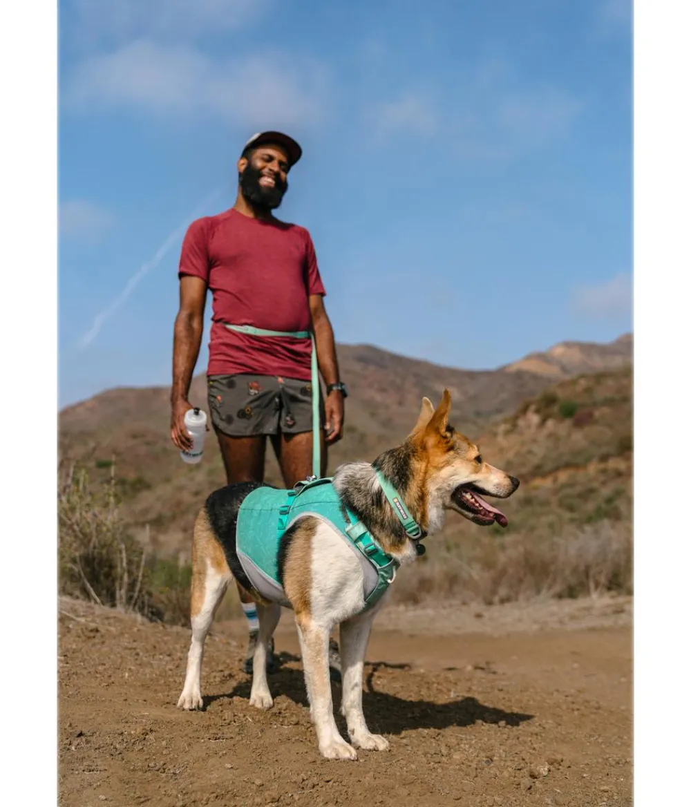RUFFWEAR® Hundehalsbänder & Geschirre - Hundehaband Hi & ight™ Coar Türkis