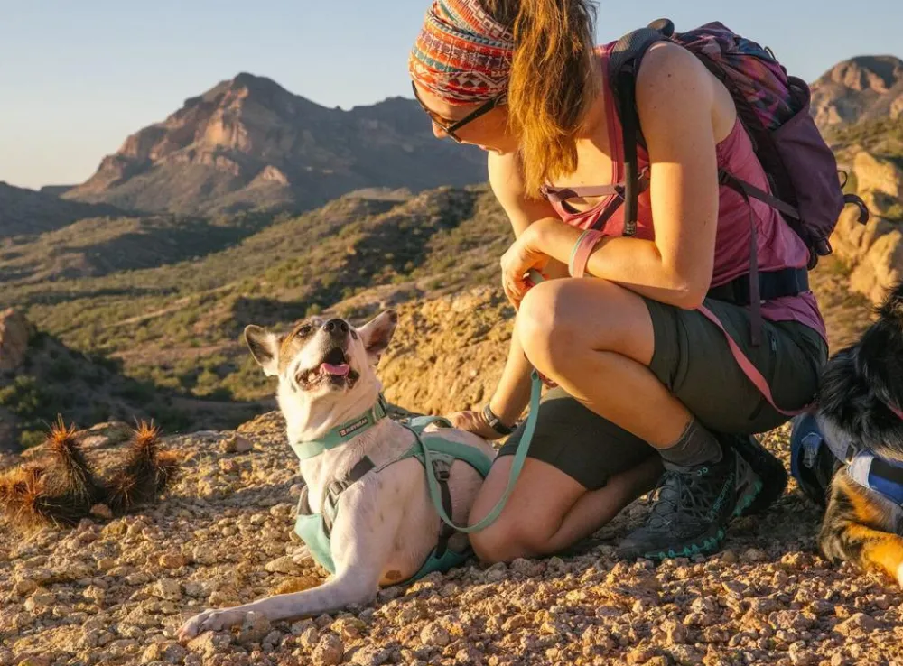 RUFFWEAR® Hundehalsbänder & Geschirre - Hundehaband Hi & ight™ Coar Türkis