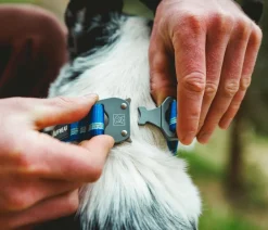 RUFFWEAR® Hundehalsbänder & Geschirre > Hundehaband Top Rope™ it etachnae