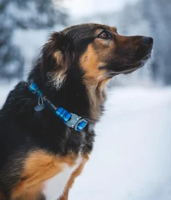 RUFFWEAR® Hundehalsbänder & Geschirre - Hundehaband Top Rope™ it etachnae Blau
