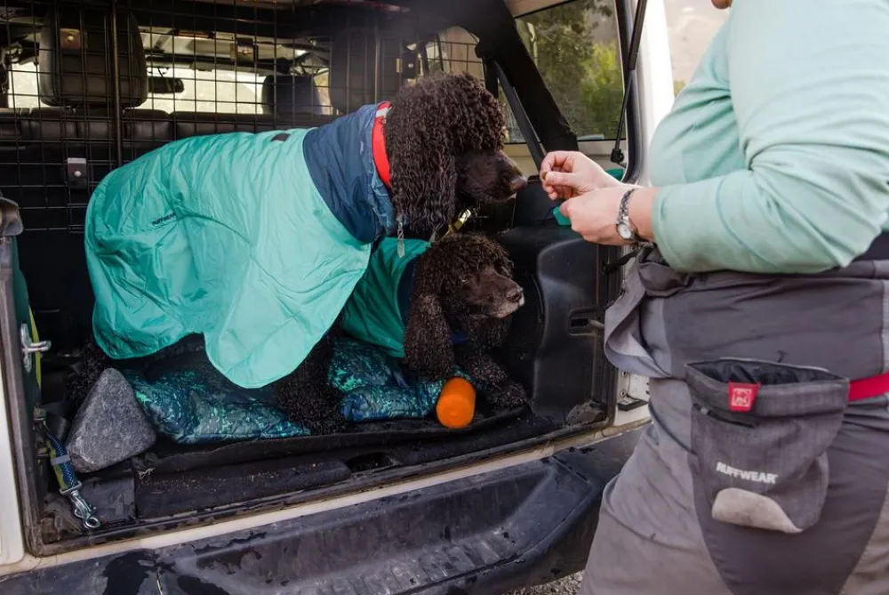 RUFFWEAR® Mehr Hundezubehör|Mehr Transport & Unterwegs > Hunde-Handtuchmantel Dirtbag™ Aurora Teal