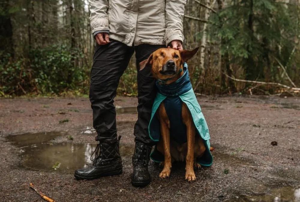 RUFFWEAR® Mehr Hundezubehör|Mehr Transport & Unterwegs > Hunde-Handtuchmantel Dirtbag™ Aurora Teal