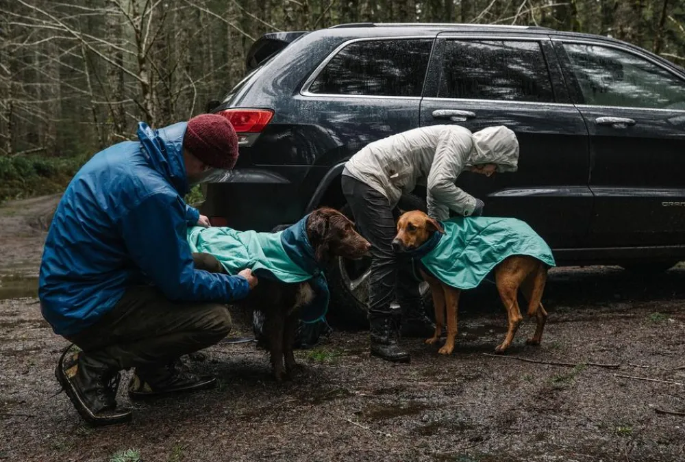 RUFFWEAR® Mehr Hundezubehör|Mehr Transport & Unterwegs > Hunde-Handtuchmantel Dirtbag™ Aurora Teal