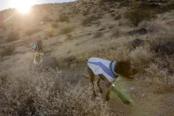 RUFFWEAR® Hunde-Kühwete wap Cooer™ Vet Lavendel Clearance