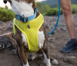 RUFFWEAR® Hunde-Laufwete Trail Runner™ Lemon Discount