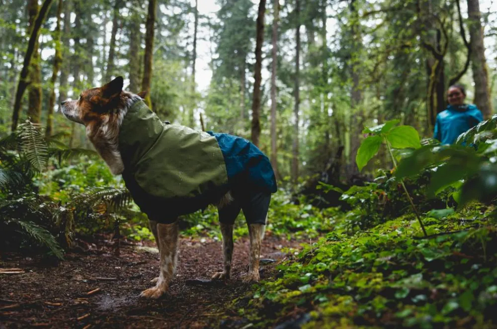 RUFFWEAR® Mehr Hundezubehör - Hunde-Regenanzug un hower™ Covera Dunkelblau