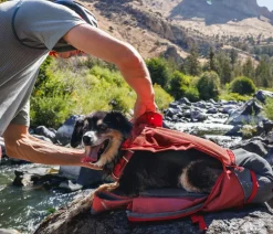 RUFFWEAR® Hunde-Ruckacktrage Hitch Hiker™ Rot New