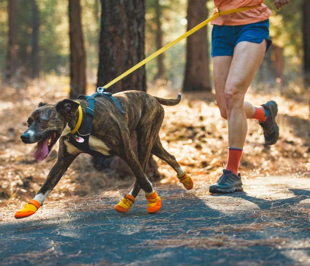 RUFFWEAR® Mehr Hundezubehör > Hundechuhe uit Trex™, 2er et