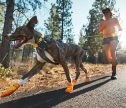 RUFFWEAR® Hundechuhe uit Trex™, 2er et Gelb Online