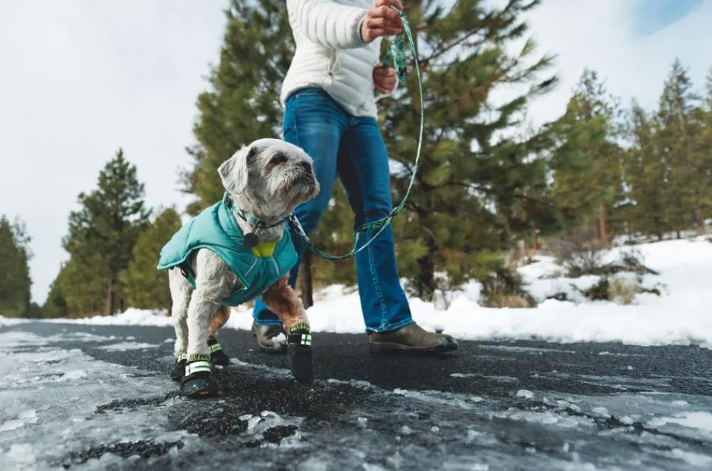 RUFFWEAR® Mehr Hundezubehör > Hundechuhe uit Trex™, 2er et