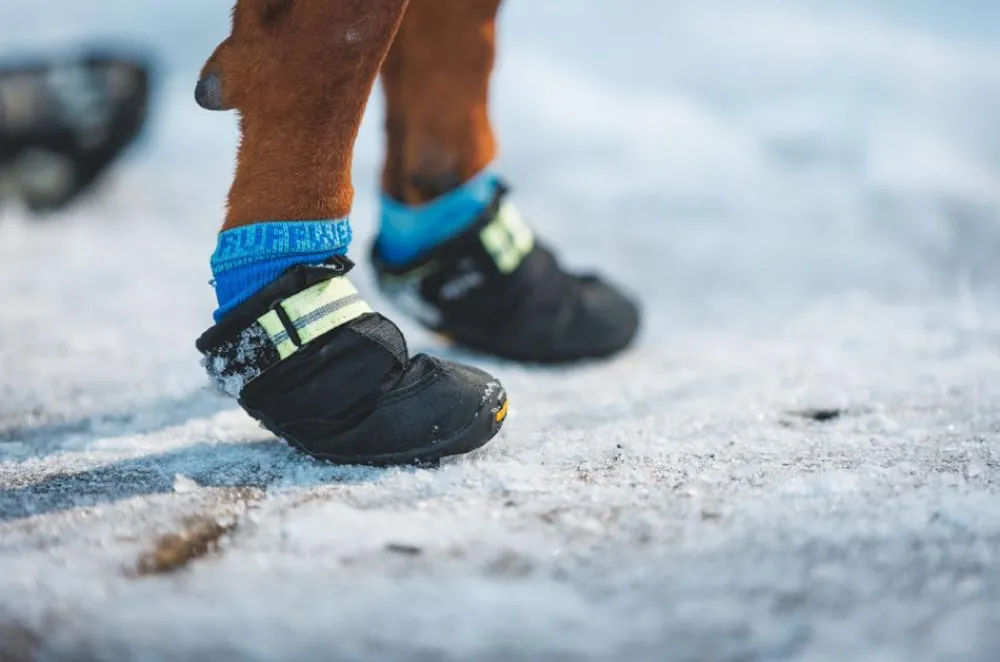 RUFFWEAR® Mehr Hundezubehör - Hundechuhe uit Trex™, 2er et Schwarz