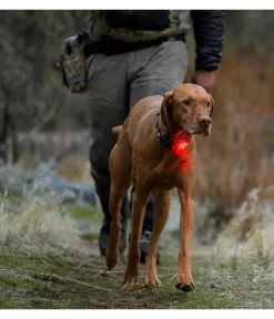 RUFFWEAR® Mehr Transport & Unterwegs - Hunde-Sicherheitsleuchte THE BEACON™
