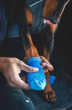 RUFFWEAR® Mehr Hundezubehör > Hundesocken Bark'n Boot™, 4er Set