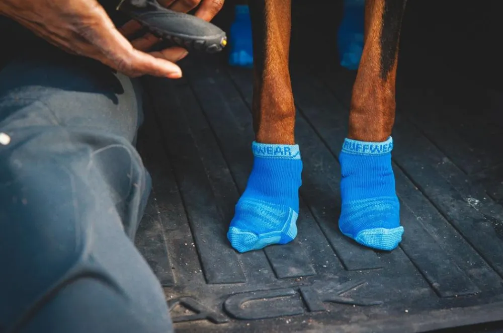 RUFFWEAR® Mehr Hundezubehör - Hundesocken Bark'n Boot™, 4er Set Blau