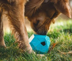 RUFFWEAR® Hundespielzeug Gnawt-a-Rock™, ca. Ø11,5 cm Hellblau New