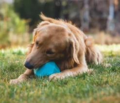 RUFFWEAR® Hundespielzeug Gnawt-a-Rock™, ca. Ø11,5 cm Hellblau New