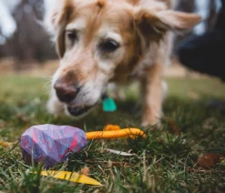 RUFFWEAR® Hundespielzeug - Hundespielzeug Huck-a-Cone™, ca. Ø7,5/T10 cm Lila