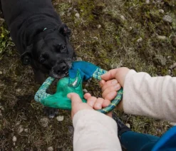 RUFFWEAR® Hundespielzeug > Hundespielzeug Pacific Ring™