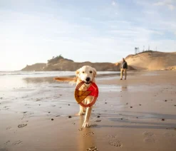 RUFFWEAR® Hundespielzeug - Hundespielzeug Pacific Ring™ Orange