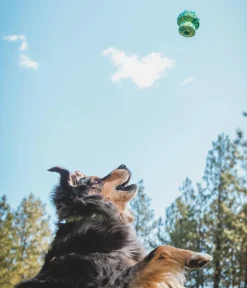 RUFFWEAR® Hundespielzeug - Hundespielzeug Toadstool™ Grün