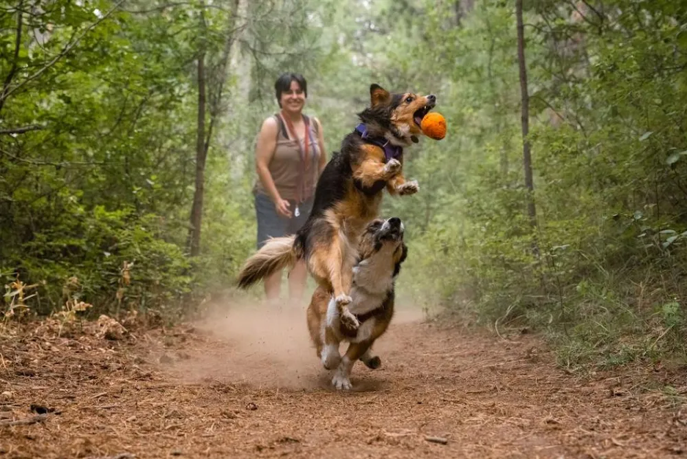 RUFFWEAR® Hundespielzeug > Hundespielzeug TURNUP™, ca. Ø6/H8 cm