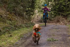 RUFFWEAR® Mehr Hundezubehör|Mehr Transport & Unterwegs > Hundewete uengow™ Hi-Vi