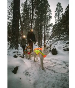 RUFFWEAR® Mehr Hundezubehör|Mehr Transport & Unterwegs - Hundewete uengow™ Hi-Vi Orange