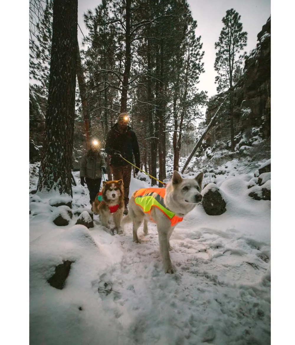 RUFFWEAR® Mehr Hundezubehör|Mehr Transport & Unterwegs - Hundewete uengow™ Hi-Vi Orange