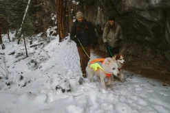 RUFFWEAR® Mehr Hundezubehör|Mehr Transport & Unterwegs - Hundewete uengow™ Hi-Vi Orange