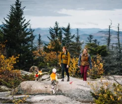 RUFFWEAR® Mehr Hundezubehör|Mehr Transport & Unterwegs - Hundewete uengow™ Hi-Vi Orange