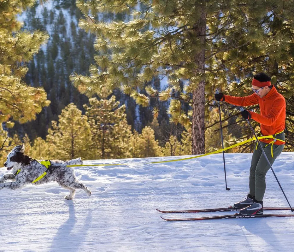 RUFFWEAR® Mehr Transport & Unterwegs|Hundehalsbänder & Geschirre - Joring yte Onijore™ Lemon