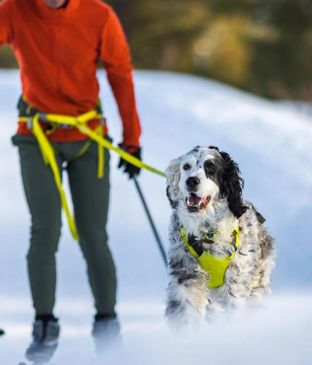 RUFFWEAR® Mehr Transport & Unterwegs|Hundehalsbänder & Geschirre - Joring yte Onijore™ Lemon