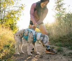 RUFFWEAR® Mehr Hundezubehör|Mehr Transport & Unterwegs > kühlendes Hundehalstuch Swamp Cooler™