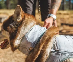 RUFFWEAR® kühlendes Hundehalstuch Swamp Cooler™ Hot