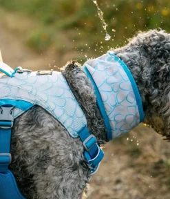 RUFFWEAR® kühlendes Hundehalstuch Swamp Cooler™ Hellgrau
