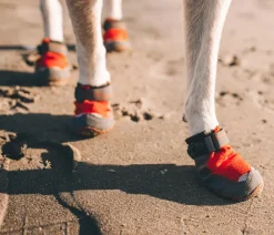 RUFFWEAR® Pfotenchutzchuh Grip Trex™, 2er et Rot Sale