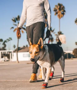 RUFFWEAR® Mehr Hundezubehör|Hundepflege & Hygiene - Pfotenchutzchuh Grip Trex™, 2er et Rot